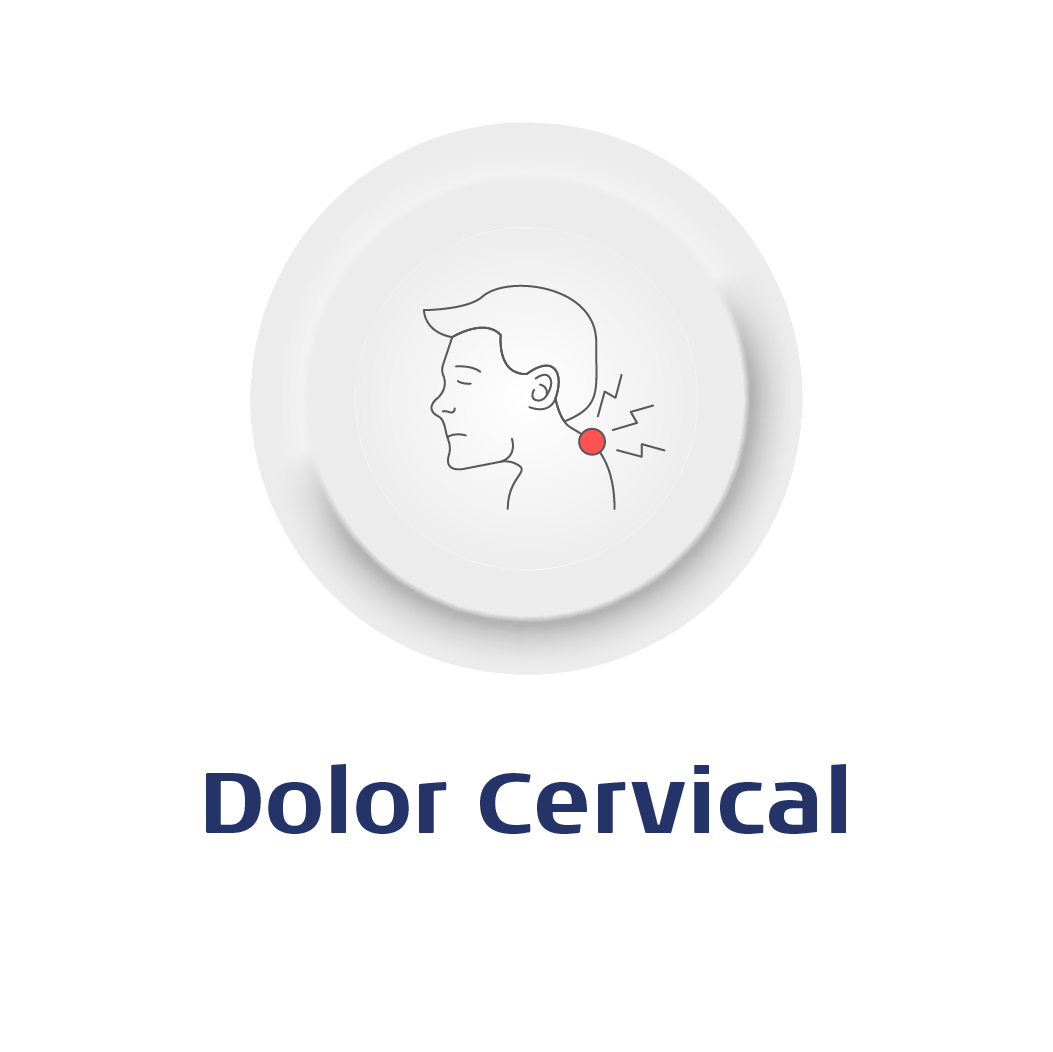 Imagen frontal