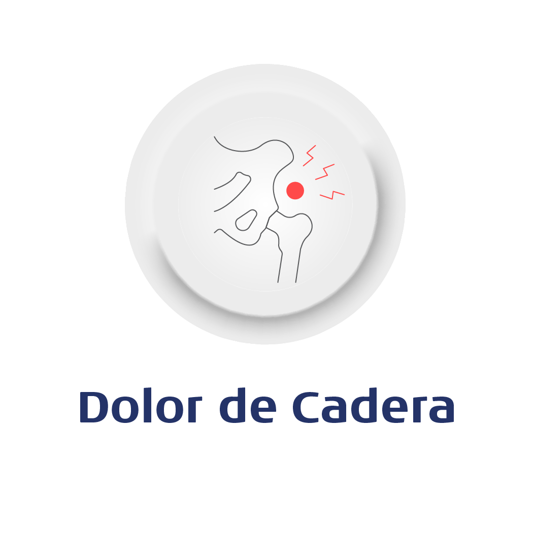 Imagen frontal