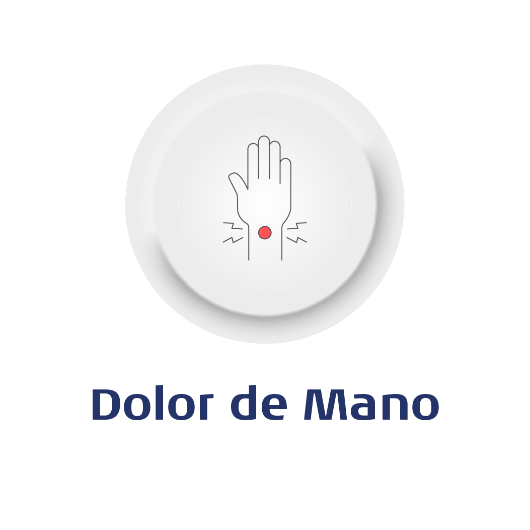 Imagen frontal