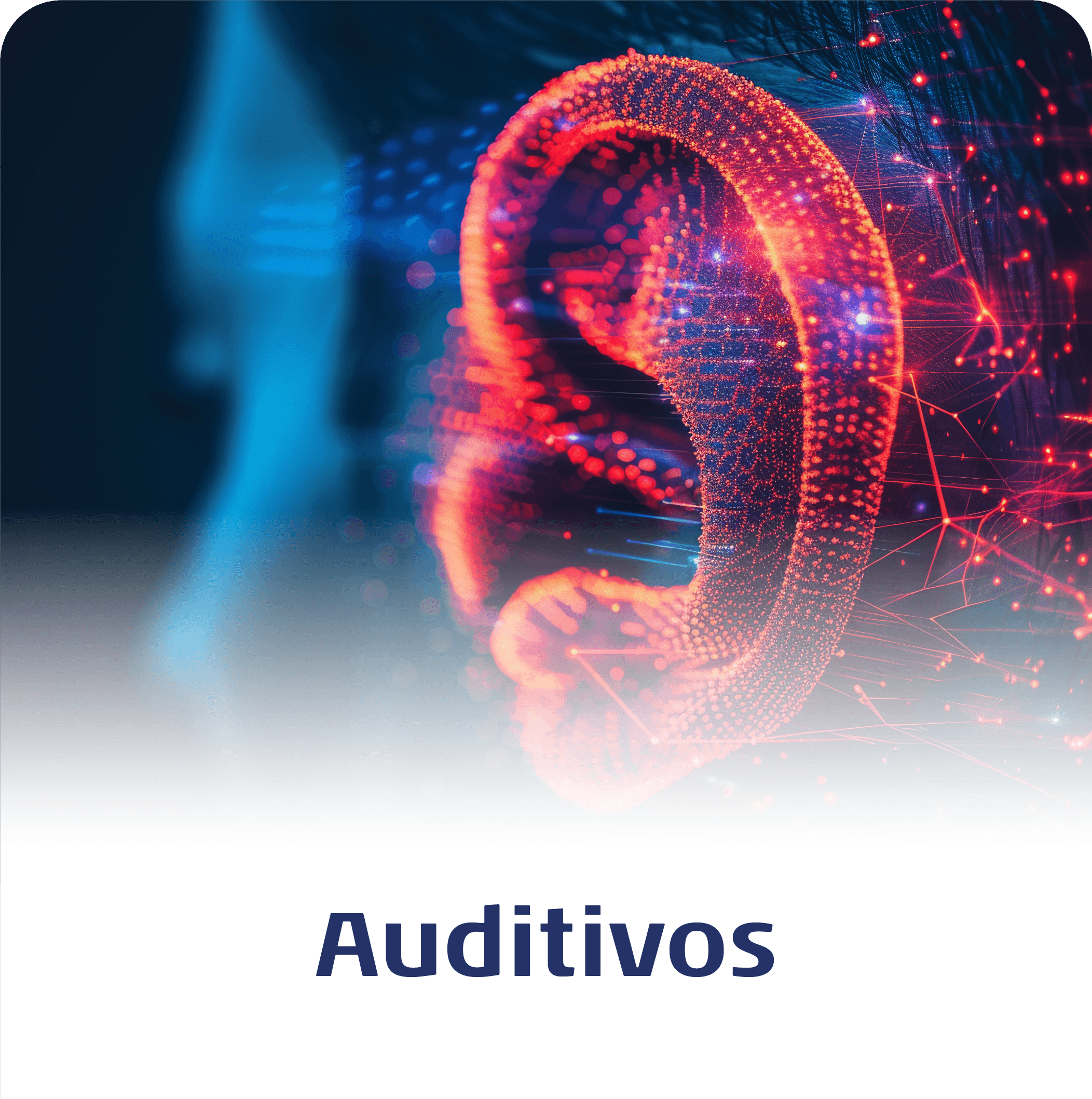 Imagen frontal