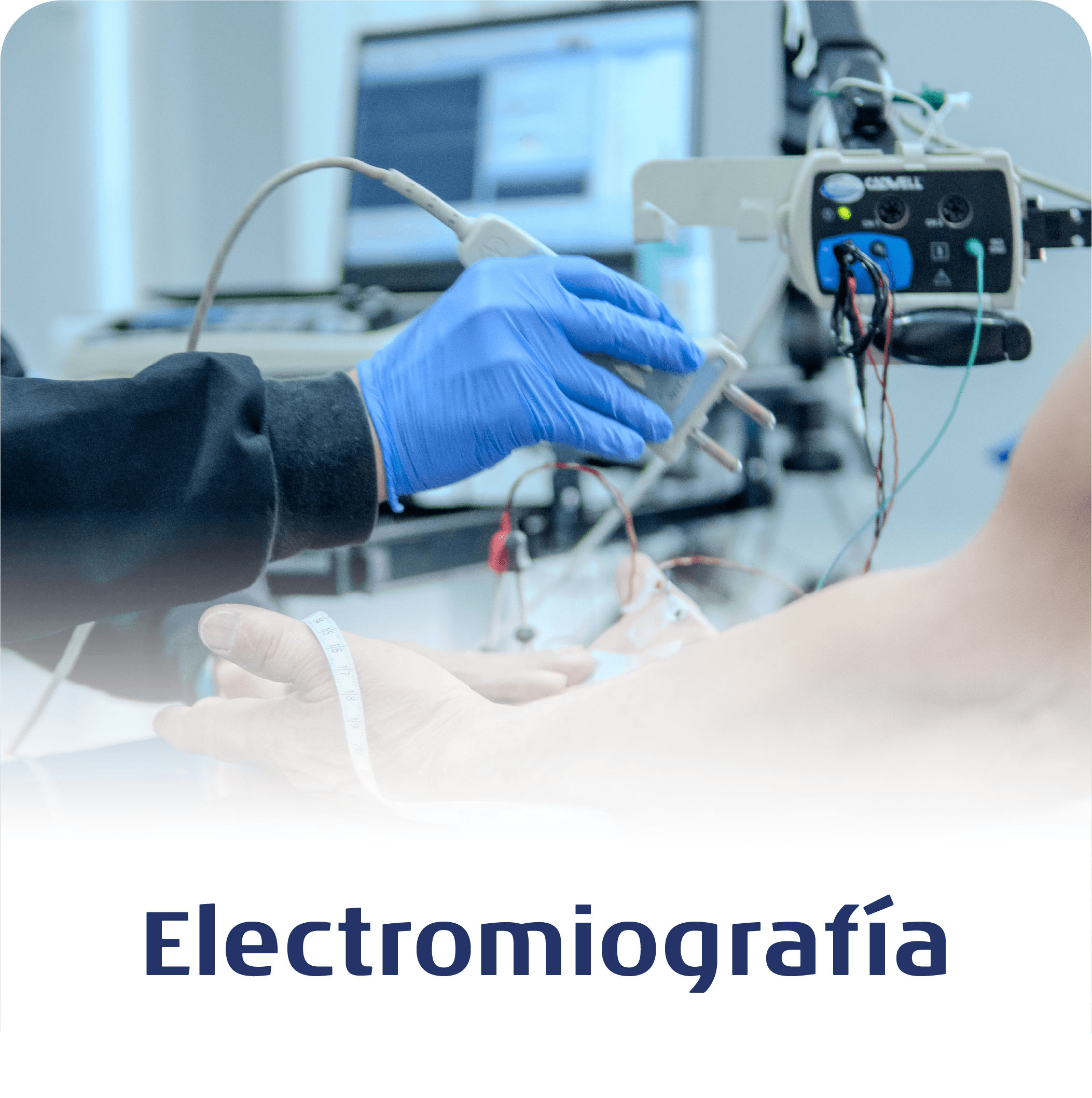 Imagen frontal
