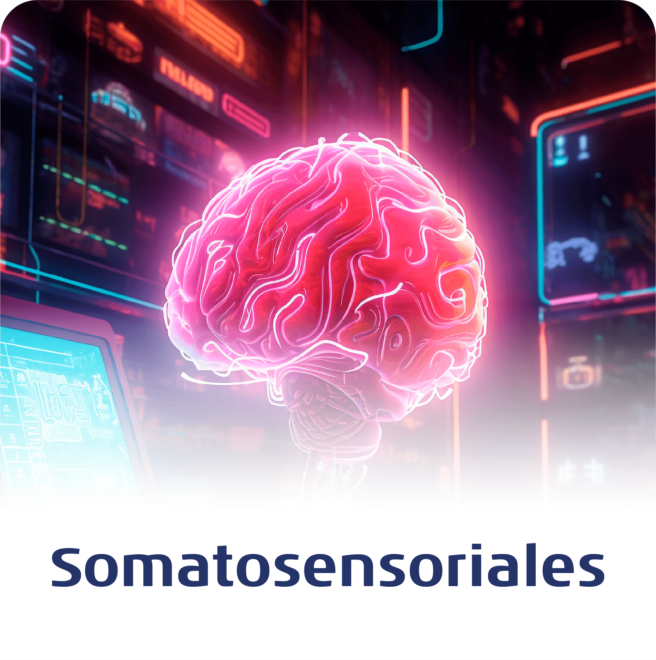 Imagen frontal